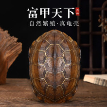 ��Ȼ������������������س�u�Թ���Ǭ¡�~�X����ְѼ��[��