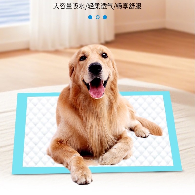 ペットおむつ卸売増粘消臭犬おむつ使い捨て吸収パッド犬おむつ|undefined