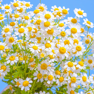 ���N���ױ���С�r�շN���ļ��_���׻���������ʾ��҃����̨ͥԺ