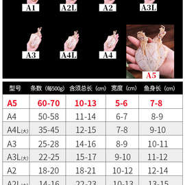 鱿鱼干烧烤淡晒干货海鲜手撕尤鱼水煮湛江特产芥末犹鱼片