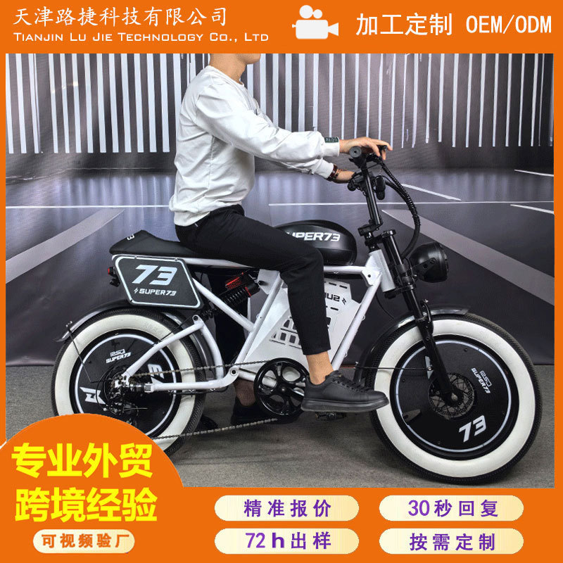 Off-Road Electric Bicycle with 20inch Pedals, Pedal Assist, Shock Absorption, and Wide Tires for Snow