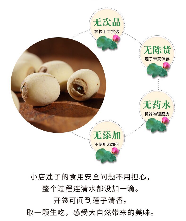Dried Lotus Seeds with Core Bai Lian Zi 500g Wild White Lotus Seeds for Soup and Tea preparation
