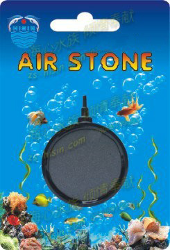 334332253_1518360834