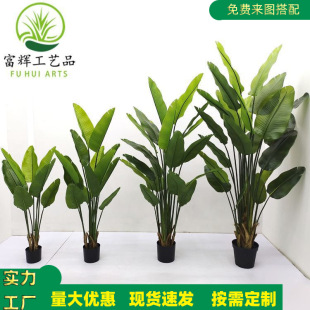 �߷������˽��㽶�������B���������҃��b٘�ֲ���辰���l