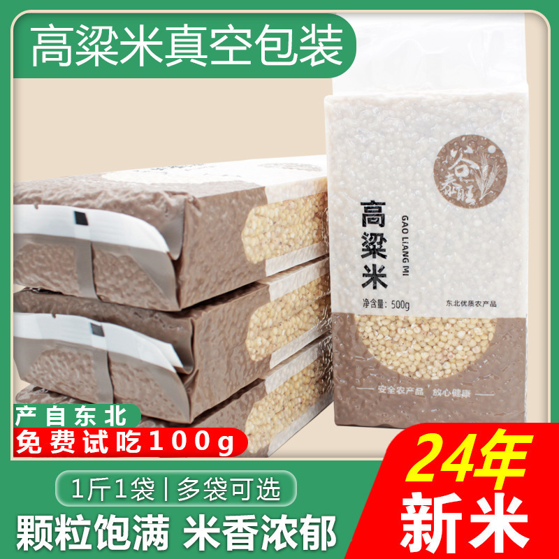 |׸2024rԮaȥƤsZϴּZŴ