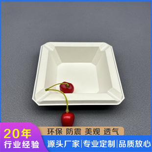 Customized Beauty Instruments and Skin Care Products, Pulp Molding, Shock-Proof and Beautiful, Sugar Cane Pulp, Environmentally Friendly and Biodegradable, Factory Direct Sales