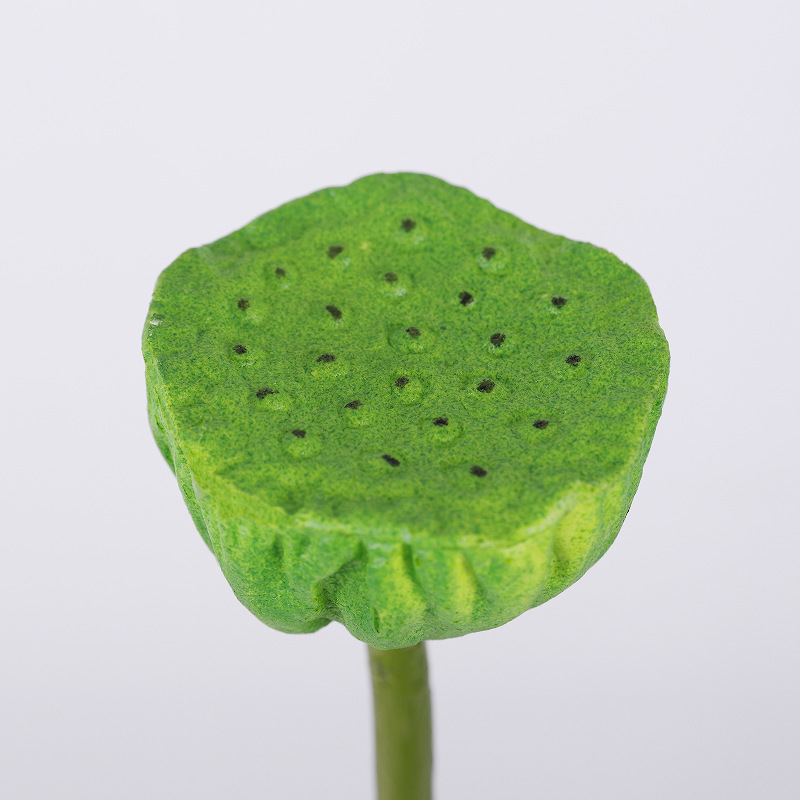 연꽃 (녹색) 매체