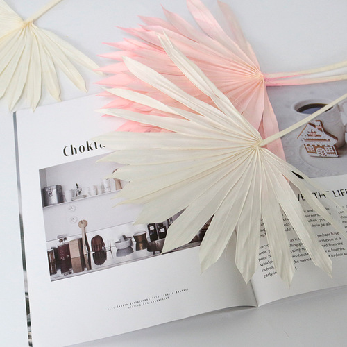 Palm leaf dried flower cattail leaf sun fan immortal flower home decoration ornaments Christmas bouquet Valentine's Day gift