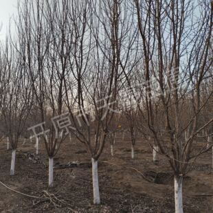 3-5���ֹ��x���� 3-5�������庣�� �_ԭ����  ���ăr��