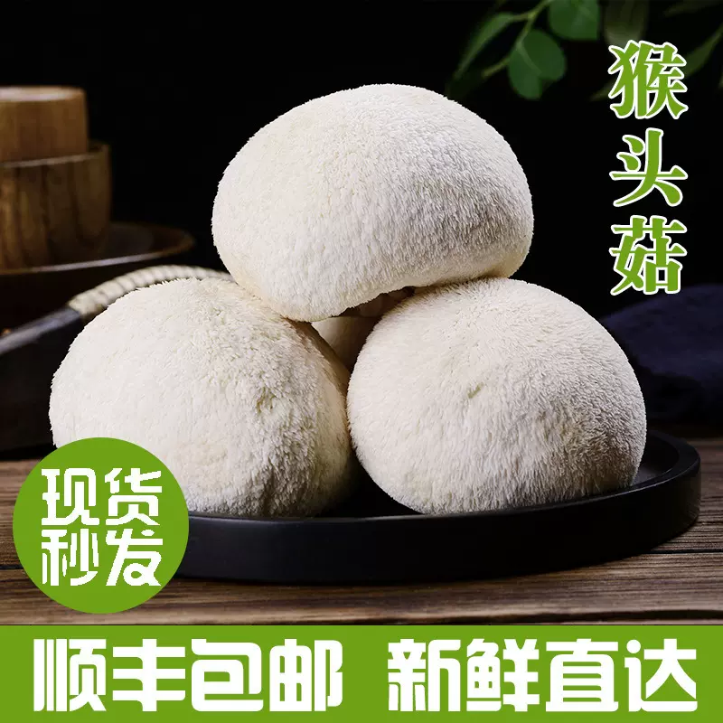 云南基地直发新鲜猴头菇食用菌厂家批发个头均匀饱满食用菌鲜货