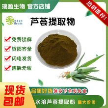 瑞盈现货供应 芦荟提取物 比例萃取水溶芦荟提取粉 1kg/袋量大价