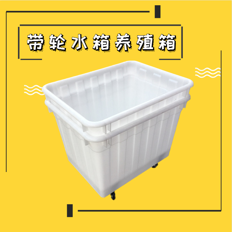微信图片_20190524153105_副本.png