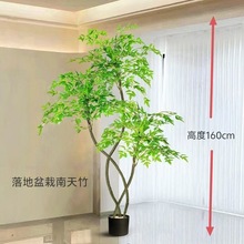 羳մɷ滨ԾƵGֲ̈辰Θ߷