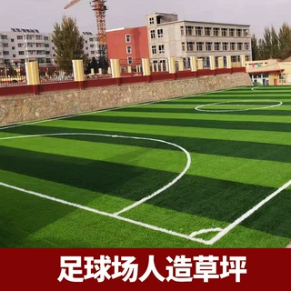 定制足球场仿真草坪 新国标仿真人工假草皮户外笼式足球地毯草坪