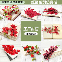 ���滨���l��Nٻ���ˇ�����m�Y���b���3�^��֦������