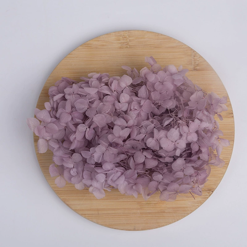 Вечный цветок Сухоцветная коробка Анна Гранди Hydrangea посыпанные лепестки цветов для лица свадьбы оформление Цветочный стиль