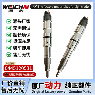 rail diesel injector assembly – Oil pump, nozzle