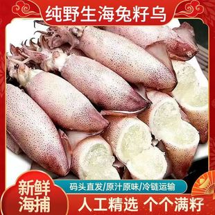 �M���ў�ȫ�ю������r�P���~Сī�~���~�M�Ѻ����Ӻ��r���l