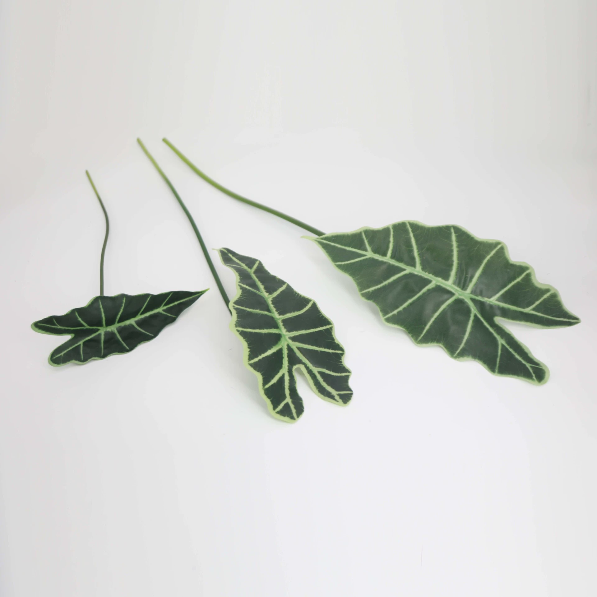 Simulation Leaf Guanyin Lotus Leaf Plant Wall Waterfront Material Flower Flower Art Design Leaf Decoration Flower Taro Leaf