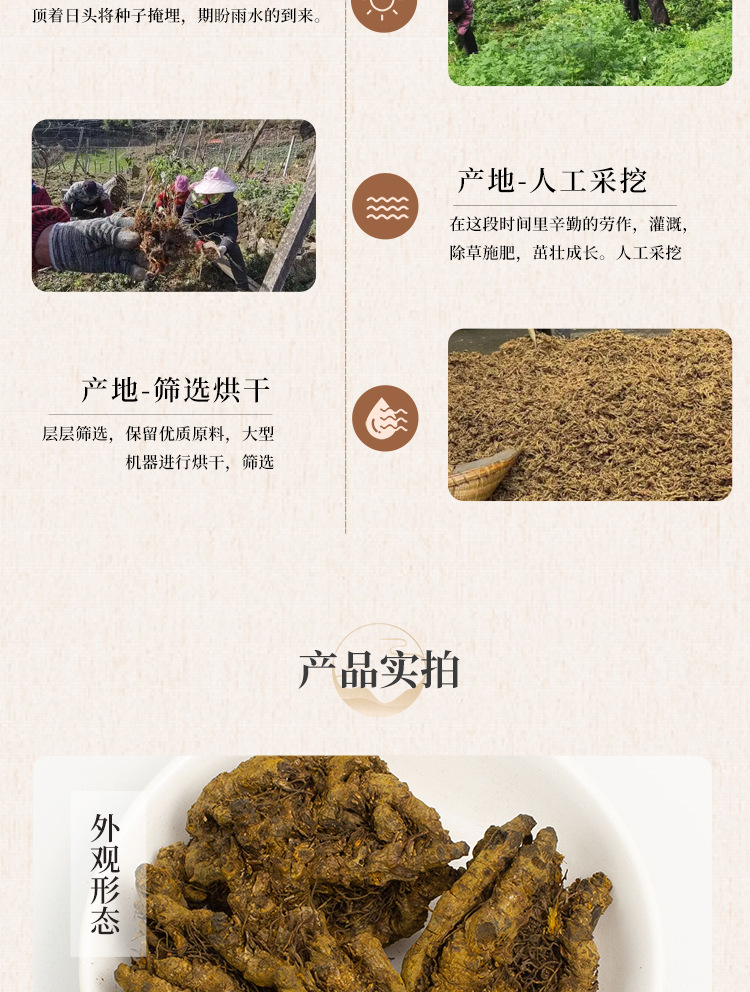 Dried Coptis Root Huang Lian 黄连 Coptis chinensis Rhizome Traditional TCM Herb 500g quality and texture