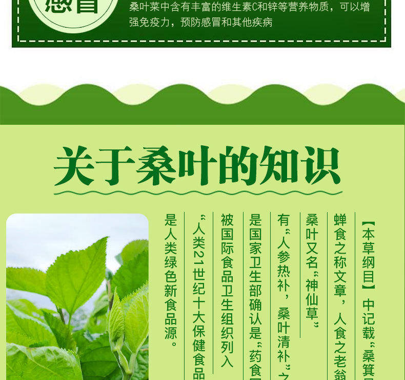 桑叶菜详情页_10.jpg