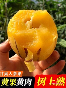 ���C����ɳĮ�˅����������S���S�����rˮ��9���ش�����������]