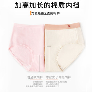 (Wholesale), cotton underwear, long pants, elite purple trousers for students