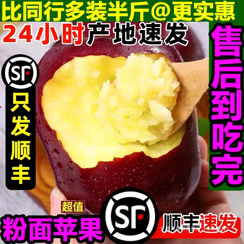 Sf Authentic Gansu Tianshui Huaniu Apple Snake Red Fruit Children's Food Supplement Elderly Powdered Sand Sweet Crispy Fresh Fruit