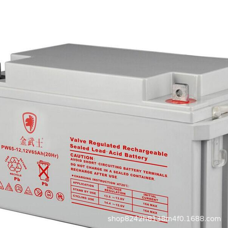原装金武士蓄电池12V100AH（10HR） PW100-12免维护铅酸蓄电池
