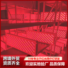 跨境外贸红光理疗面板灯红光大排灯烤灯瑜伽馆健身房红外线理疗灯