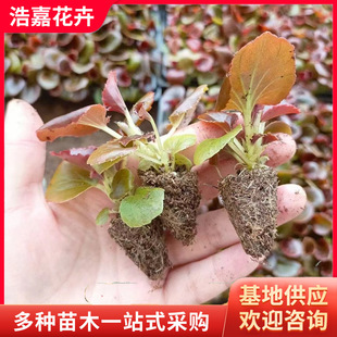 �ļ������r������ ���ļ����ļ��������Բ����� ���R�@�־G��