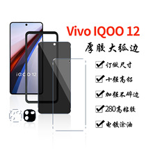 适用Vivo IQOO 12防窥钢化膜 高清厚胶大弧边无白边手机保护前膜