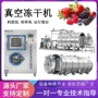 冷冻低温真空果蔬干燥机