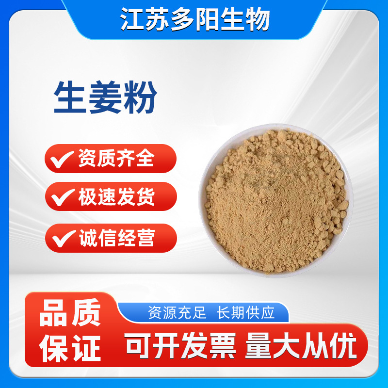 Ginger powder food grade ginger extract ginger powder plant extract water-based protein powder