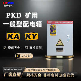 矿安标志配电箱GKD/PKD矿用配电箱KAKY矿井一般型低压开关控制柜