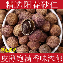 正宗阳春砂仁中药材砂仁广东特产砂仁干果阳春砂泡茶煲汤蒸肉香料
