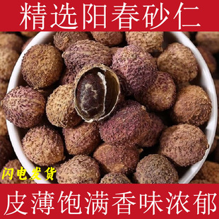 ����ꖴ�ɰ����ș��ɰ�ʏV�|�خaɰ�ʸɹ�ꖴ�ɰ�ݲ��Ҝ���������