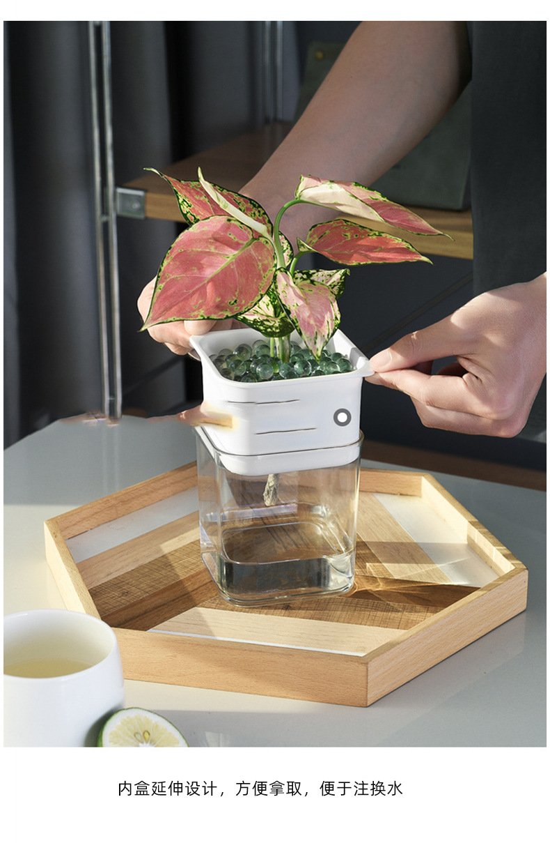 透明可视懒人绿萝自动吸水花盆花瓶方形大号塑料水培绿植养殖盆-