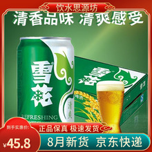 雪花啤酒清爽330ml*24听/整箱 拉罐啤酒雪花听装啤酒绿罐新货