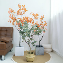 ���X������������lֲ�ﱱ�W�Lins�Ҿ���������ȼ�����������