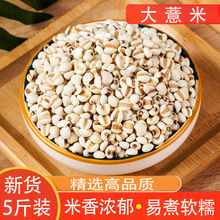 ޲���r�Ҵ�޲����t���ඹ����s�Z�ּZ֧��һ�����l