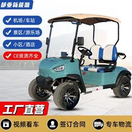 电动观光车;高尔夫球车;其他电动车