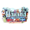 MZCT201: D type-Havana