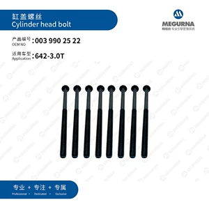 Mercedes-Benz/BENZ/OM642.820 silindr başlığı bolt dəsti 0039902522/372.940 üçün uyğundur