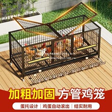 �u�\�Ӽ��������̖�Bֳ�\�����u���F�z�W�u�C�ܻ\���\�B�u�\