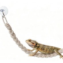 �������������������׎���ľ�з�����K������ë�����x��ǧ�羳��