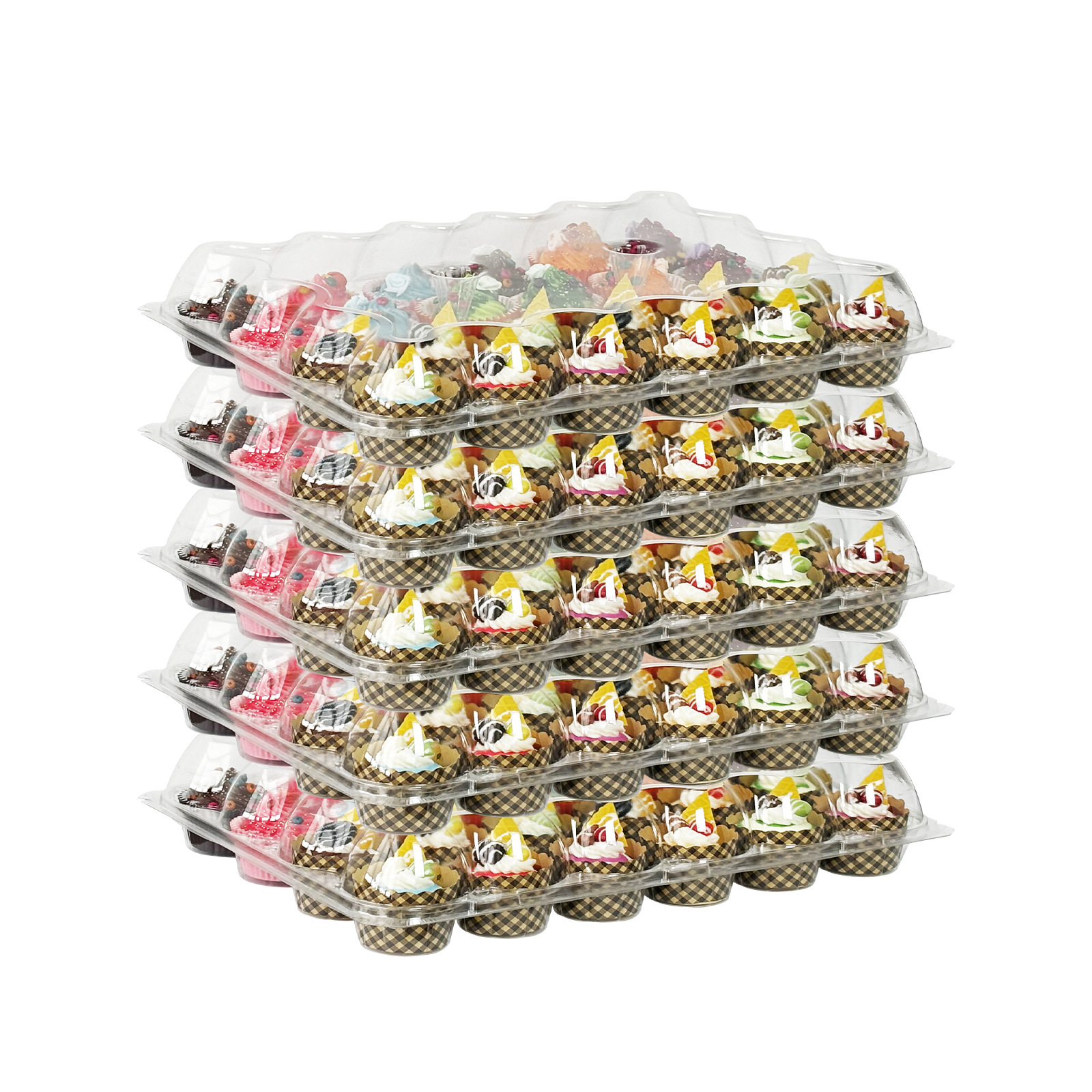 24 곡물 컵 케이크 상자