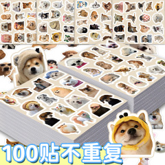 6张100贴网红写实小狗小猫贴纸可爱狗狗表情包头像贴画装饰手机壳