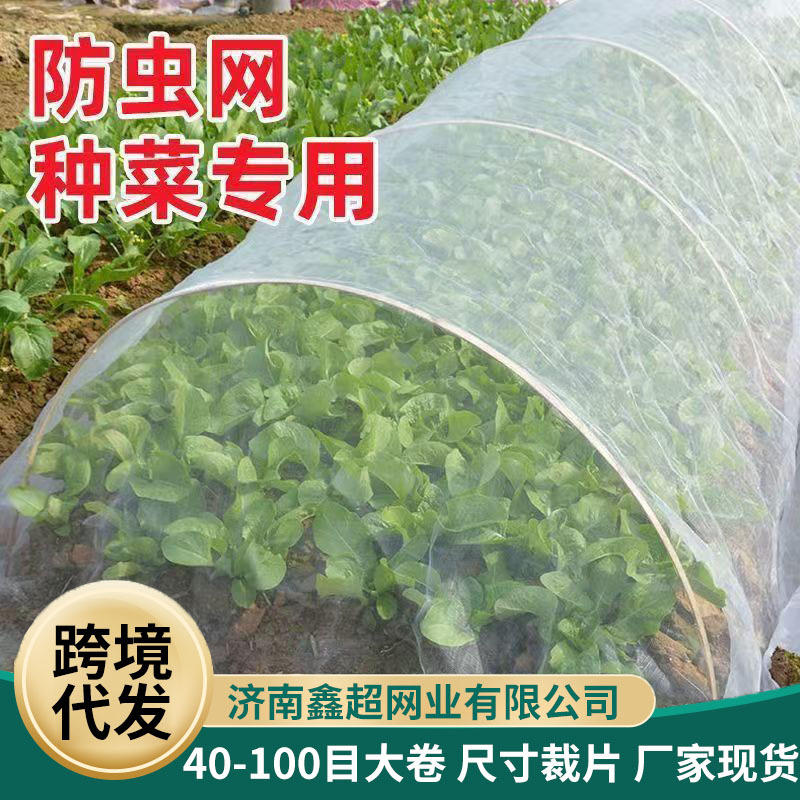 跨境大棚专用防虫网农用养殖蔬菜网蝗虫果树果园网加密加厚防鸟网