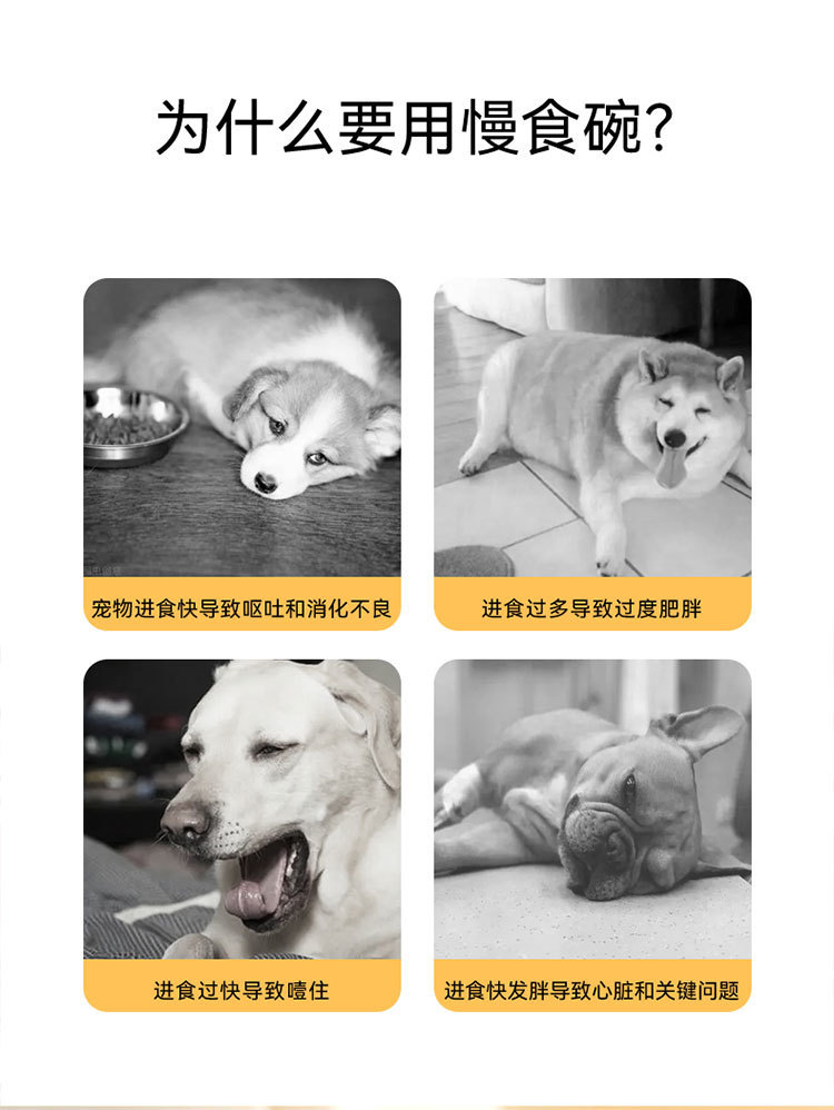 c0e21aac-d580-4707-9c35-24e956c95ae0.jpe
